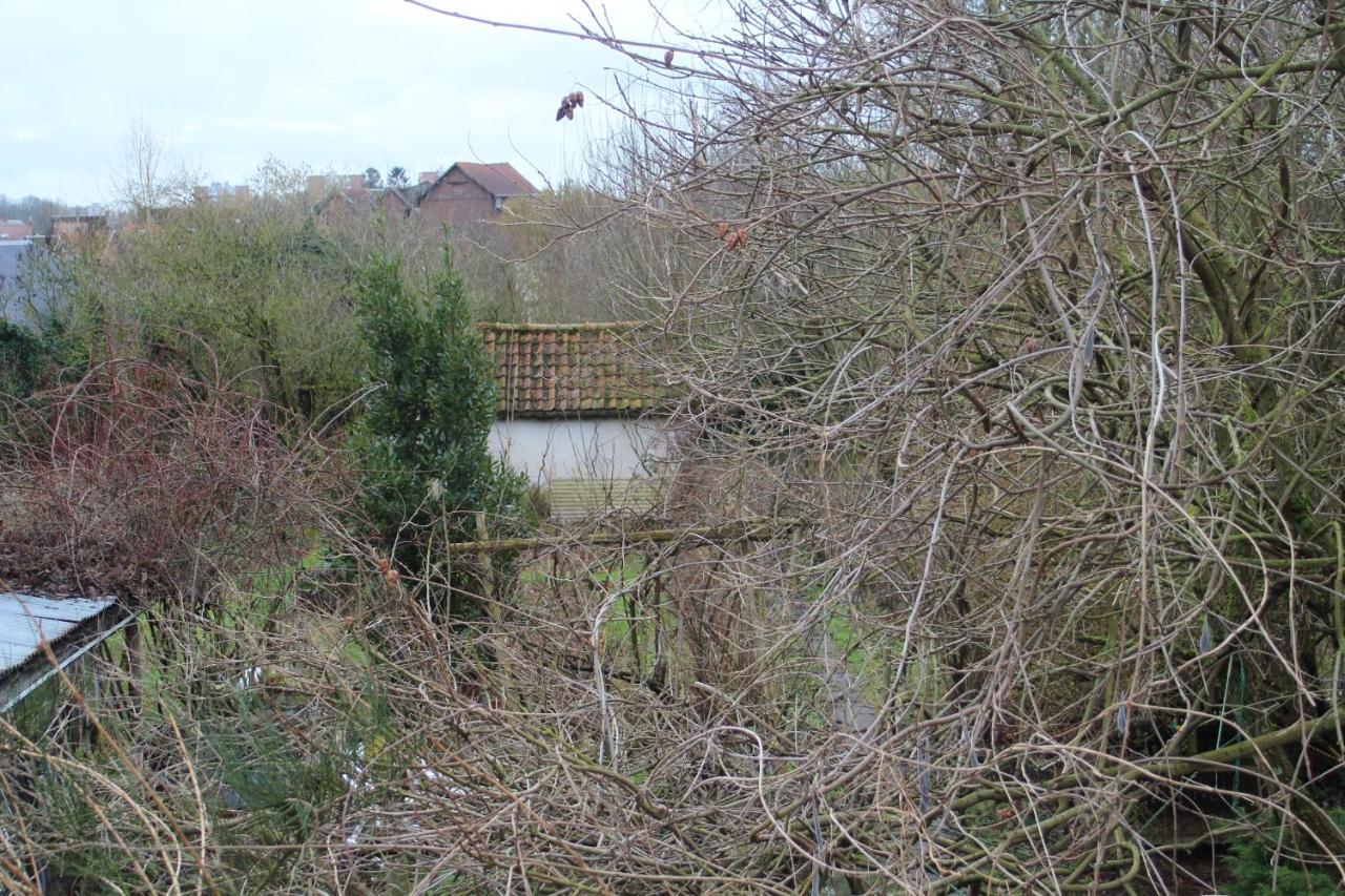 Maison D'Artiste Acces Jardin Maubeuge Esterno foto